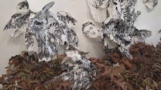 Five-Minute Tours: Cindee Travis Klement and Sherry Tseng Hill at Throughline, Houston