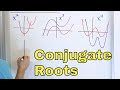 Roots and Theorems of Polynomials