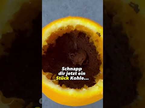 Probiere DAS und du wirst mir EWIG DANKBAR SEIN🤯💥