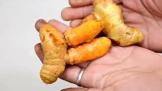 winter special turmeric tea| सुबह-शाम पी लेने से कभी cancer छु भी नही पाएगा ना कभी infection होगा| 😍
