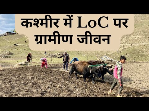 Village life near LoC in Kashmir | कश्मीर में LoC बॉर्डर पर ग्रामीण जीवन । The Young Monk |