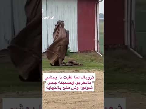 لقيت ذا يمشي بالطريق وحسبته جني شوفوا وش طلع بالنهاية 😰