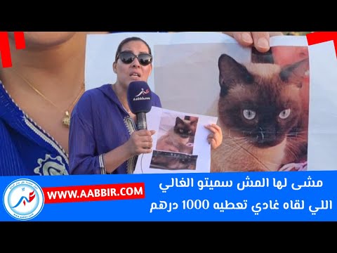 قصة غريبة فاطمة من أكادير مشا لها المش سميتو الغالي اللي لقاه غادي تعطيه 1000 درهم لتفاصيل في لفيديو