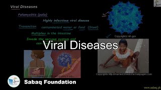 Viral Diseases