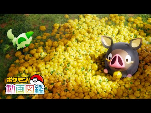 【公式】「ポケモン動画図鑑」No.0915 グルトン