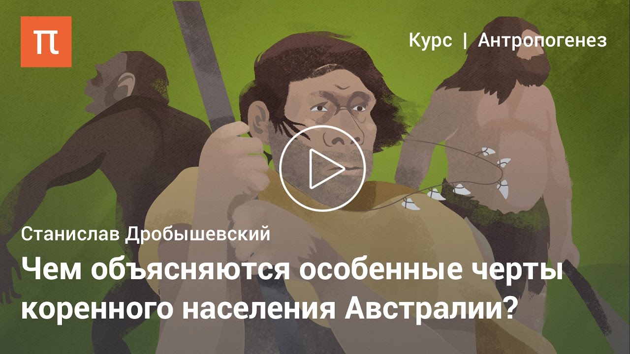 Происхождение австралоидной расы - Станислав Дробышевский
