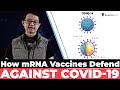 mRNA Vaccines and Immune Response