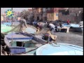 بالفيديو فينيسيا الشرق في مكس الإسكندرية ضحية للإهمال