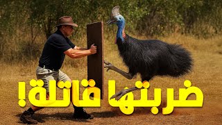طيور مرعبة.. حاول تتجنبها بكل الطرق
