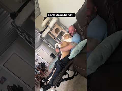 Tell me you have a clingy dog 🥰🥰 #dog #funny #pets #funnydog #funnyvideo #dogs
