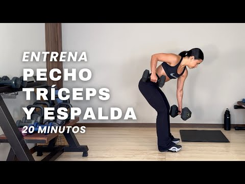 Entrenamiento para tríceps, pecho y espalda