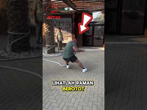 manusia vs singa, mana yang akan menang? #shorts #viralshort #viralvideo #viraltiktok