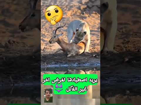 مشهد نادر جدآ لن تصدق ما تراه #shorts#