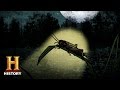 Oak Island Treasure Discovery Facts