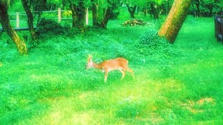 𝚙𝚕𝚊𝚢𝚕𝚒𝚜𝚝 夏音 (여름 소리)