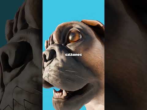¿Sabías que los pugs antes eran diferentes?