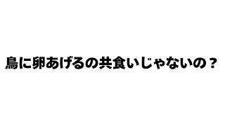 「鳥に卵は共食いじゃないの？」頂いたコメントに答えます