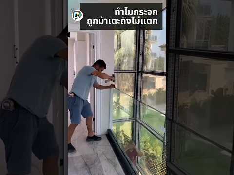 ทำไมกระจก ถูกม้าเตะถึงไม่แตก #JeVeuxDire #JVD #เชอเวอดิ