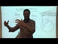 Eukaryotic and Prokaryotic Cell Concepts