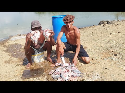 PESCARIA DE TARRAFA NÓ BREJO TEM TRAIRÃO É MUITO TILÁPIAS