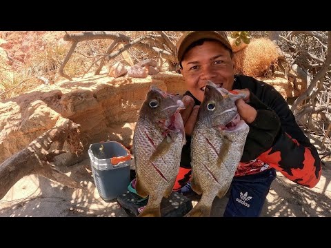 PESCA RAIZ COM VARINHA E PREPARO NA BEIRA DA PRAIA ( CATCH AND COOK)