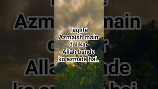 Zillhajj #zillhajkamahina #hajjkamahina #taqlif #azmaish #thoughtsofmind