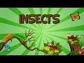Insect Biology and Behavior