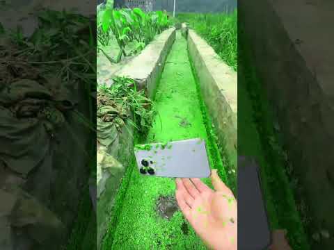 the beauty of nature - You didn't think it was that beautiful _207thclip #satisfying