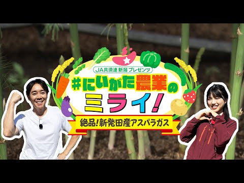 JA共済連 新潟プレゼンツ #にいがた農業のミライ! 絶品!新発田産アスパラガス