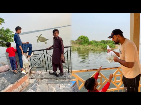 Sab Fishes Turtle Ko Big Lake Mey Chor Aey 😍 Ab Jan Bach Jaey Gi