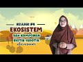 Kuis Ekosistem