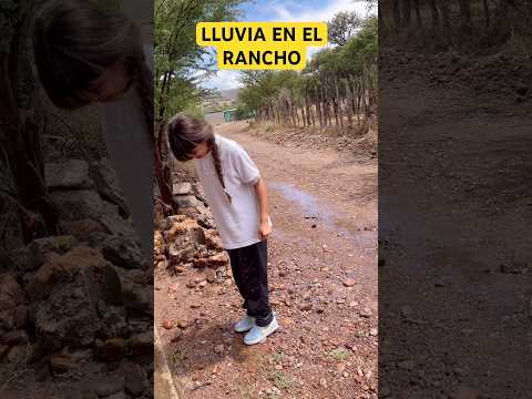 FEDE VIGEVANI | VIDEOS DE RISA #videosderisa #fede #humor #comedia #risa #viral