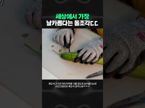 길에서 보이면 절대 함부로 만지지 마세요!!
