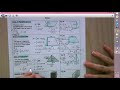 Volume and Area Formulas