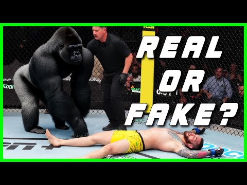 UFC FAKE KnockOut!???