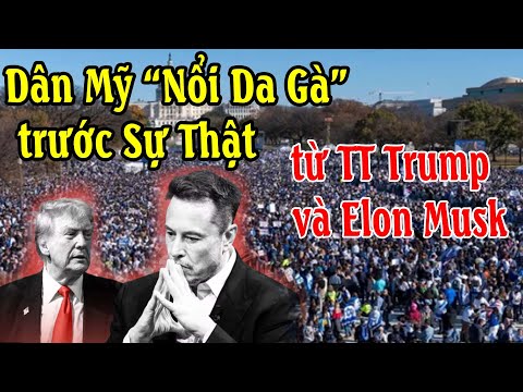 Dân Mỹ “Nổi Da Gà” trước Sự Thật từ TT Donald Trump và Elon Musk