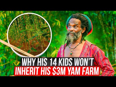 Why Won’t His 14 Kids Inherit His $3 Million Jamaican Yam Farm?