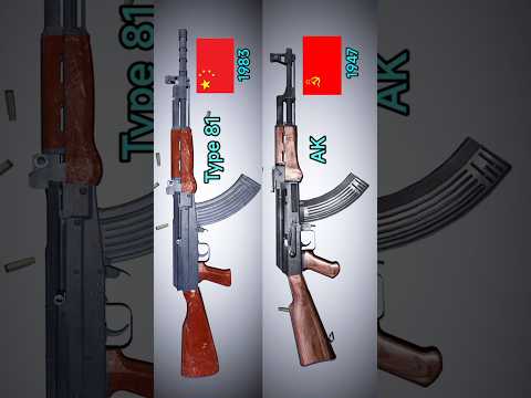 AK vs Type 81