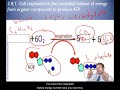 Cellular Respiration and Ethics