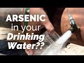 Arsenic Levels and Community Health
