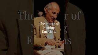 Expanding Our Capacity: The Power of Naming Emotions