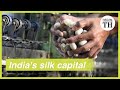 Silk Industry in India
