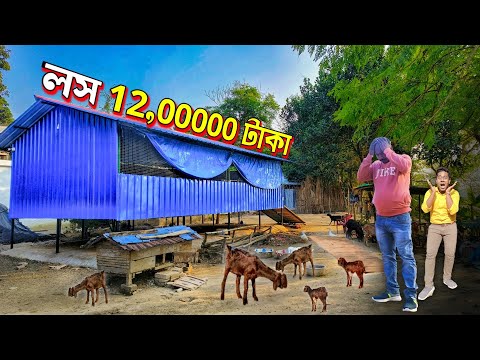 ছাগল মেরে দিল ১২ লাখ টাকা 😱 | Goat Farm in West Bengal | Black Bengal Goat | দেশি ছাগল খামার