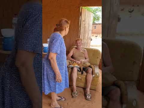 #meme #humor #piadascurtas #humorbrasil #comedia #piadasrapidas #memes #comedy #humorbrasil #funny