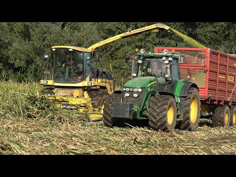 Mais hakselen aan de Linderbeek door Mts Kroese met hun New Holland FX450 (2024)