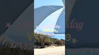 Yay Spring is finally here! 🌸🌷🌊 #vlog #youtubeshorts #spendthedaywithme #fyp #viral