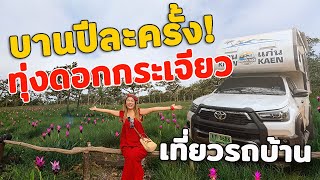 บานปีละครั้ง! เที่ยวทุ่งดอกกระเจียว ด้วยรถบ้าน Motorhome | ล่าสุด 2025