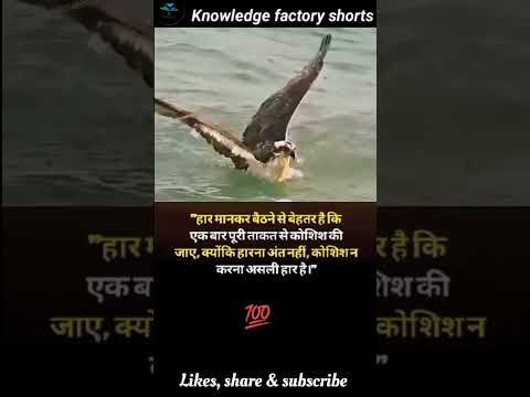 #motivation #success #mindsetvideo #trending #reels #viral #positive #knowledgevideo 