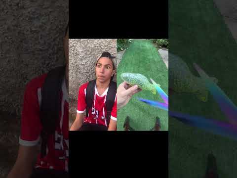 matar aula kkkkkk shorts (créditos @Lkzinhu)