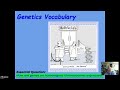 Exploring the Basics of Genetics